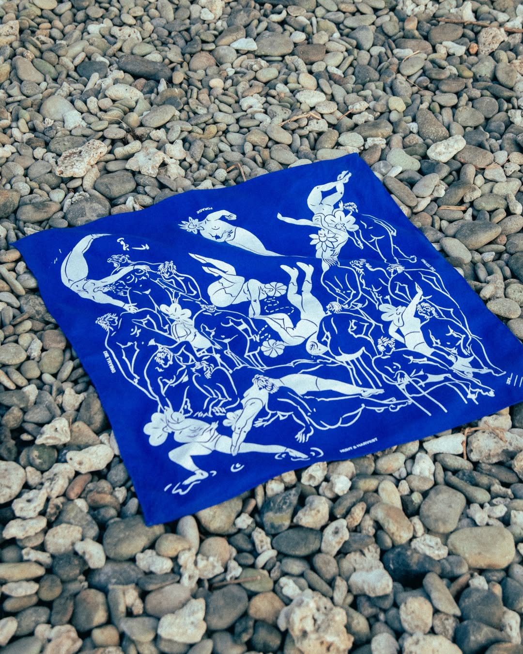 FORAGE SCARF 321 X FRANCE DAFFON BLUE