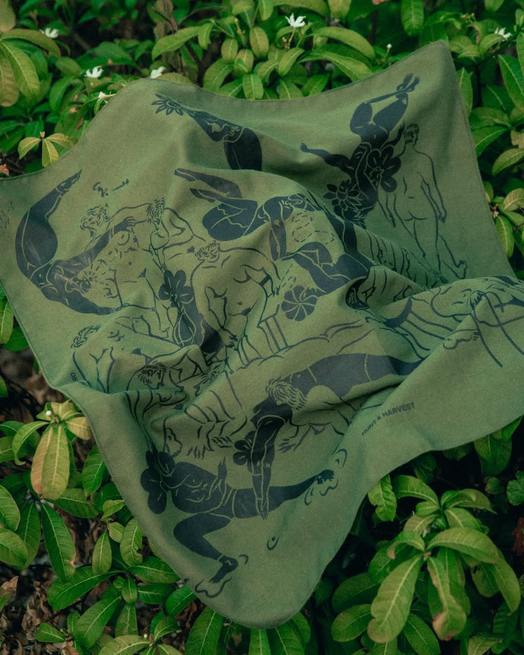 FORAGE SCARF 321 X FRANCE DAFFON GREEN