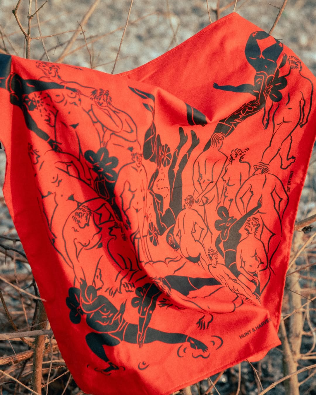 FORAGE SCARF 321 X FRANCE DAFFON ORANGE
